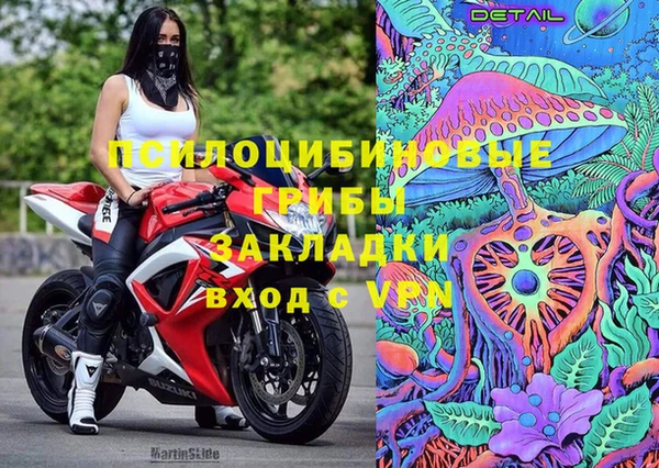 стаф Балахна