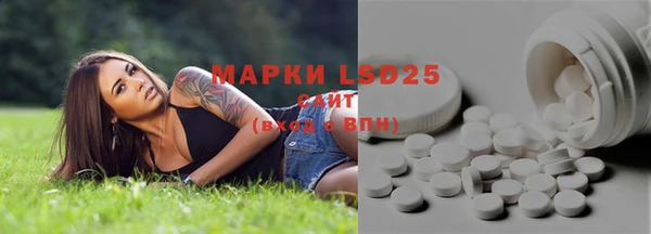 стаф Балахна