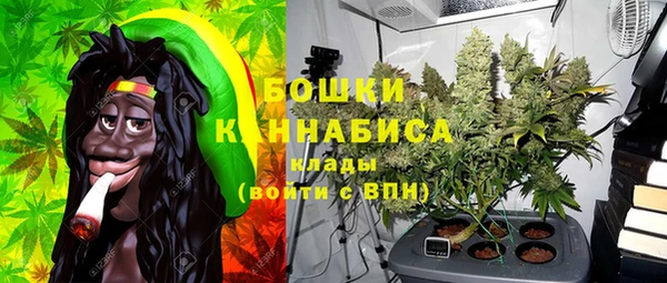 стаф Балахна