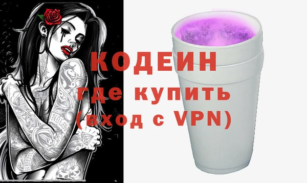 стаф Балахна