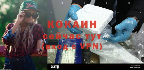 стаф Балахна