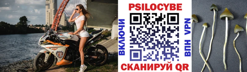 Галлюциногенные грибы мухоморы  Купить где  Гай 